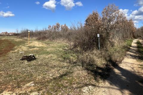Istra, Poreč - okolica, veliko poljoprivredno zemljište u prvom redu do industrijske zone Kukci