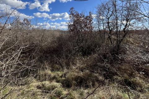 Istra, Poreč - okolica, veliko poljoprivredno zemljište u prvom redu do industrijske zone Kukci