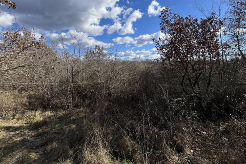 Istra, Poreč - okolica, veliko poljoprivredno zemljište u prvom redu do industrijske zone Kukci