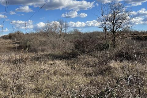 Istra, Poreč - okolica, veliko poljoprivredno zemljište u prvom redu do industrijske zone Kukci