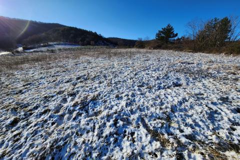 Istra, Karojba - građevinsko zemljište 1225 m2