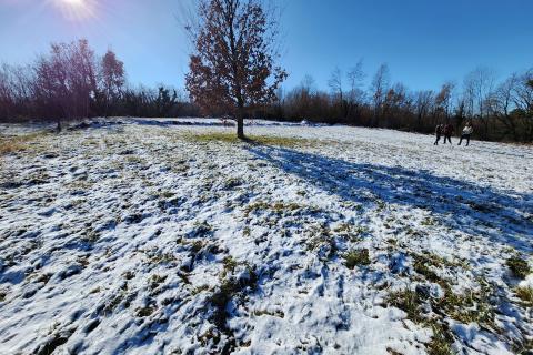 Istra, Karojba - građevinsko zemljište 1225 m2