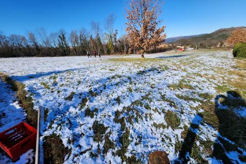 Istra, Karojba - građevinsko zemljište 1256 m2