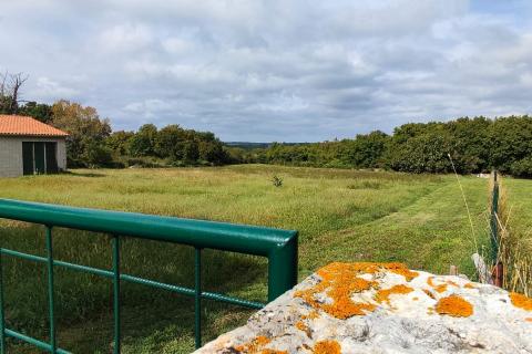 Istra,Krnica, 4 građevinske parcele 3707 m2