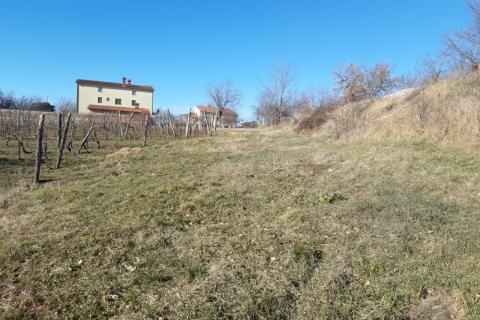 Stavbno zemljišče Novaki Motovunski, Karojba, 4.674m2