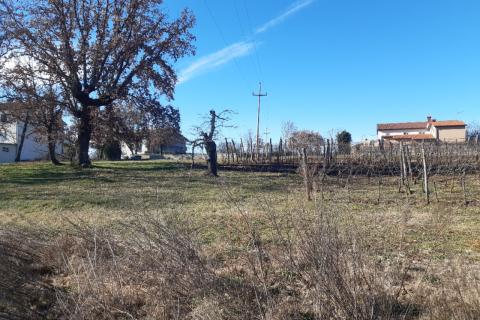 Stavbno zemljišče Novaki Motovunski, Karojba, 4.674m2