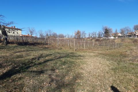 Stavbno zemljišče Novaki Motovunski, Karojba, 4.674m2