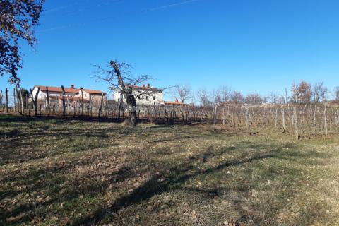 Stavbno zemljišče Novaki Motovunski, Karojba, 4.674m2