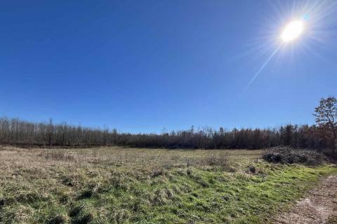 Niet bouwgrond Kaštelir, Kaštelir-Labinci, 8.929m2