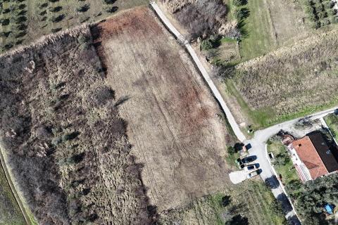 Bauland Buje, 1.032m2