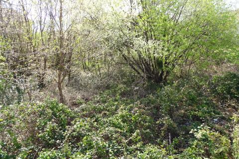 Kostrena - građevinsko zemljište 400 m od mora!