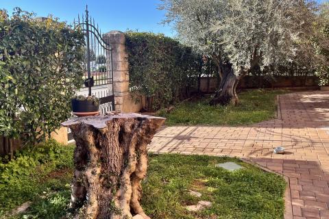 Istria, Umag Punta, spacious apartment first row to the sea