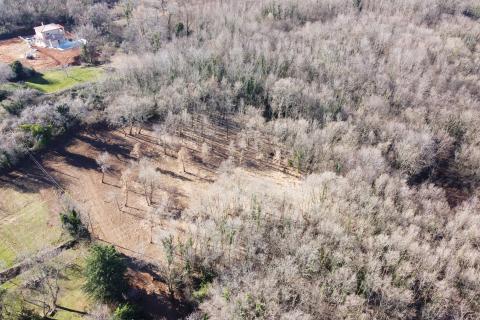 ISTRIA, LABIN - Building plot 5700 m2 in a secluded area