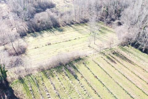 Stavbno zemljišče Labin, 5.750m2