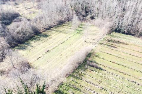 Stavbno zemljišče Labin, 5.750m2