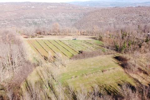 Stavbno zemljišče Labin, 5.750m2