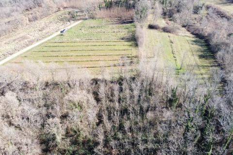 Stavbno zemljišče Labin, 5.750m2