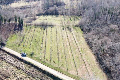 Stavbno zemljišče Labin, 5.750m2
