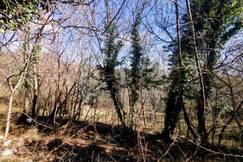 Rijeka, Pulac, građevinsko zemljište od 1964m2 