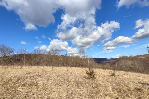 Gorski Kotar, Vrbovsko, zemljište 4820 m2