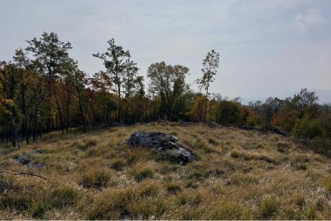 Klana,Breza - građevinski teren 