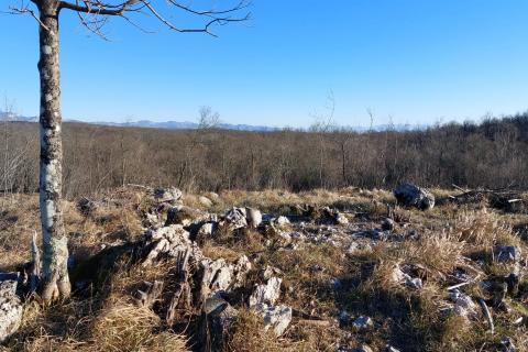 Klana,Breza - građevinski teren 