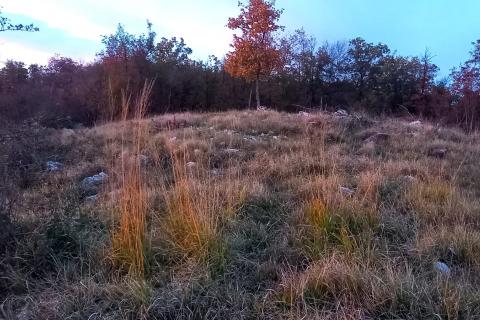 Klana,Breza - građevinski teren 