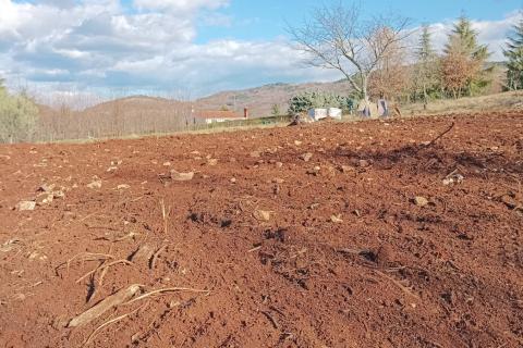 Building plot Karojba, 1.896m2