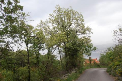 Terreno edificabile Bivio, Rijeka, 3.536m2