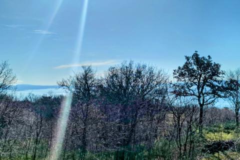 Rijeka, Pulac, 910m2 građevinskog terena na parceli od 2298m2 s pogledom