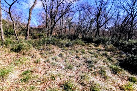 Rijeka, Pulac, 910m2 građevinskog terena na parceli od 2298m2 s pogledom