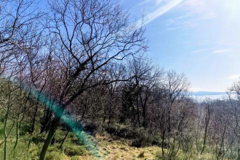 Rijeka, Pulac, 910m2 građevinskog terena na parceli od 2298m2 s pogledom