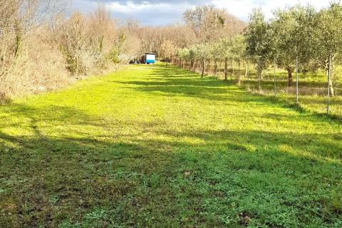 Земельный участок нестроительного назначения Linardići, Krk, 1.052m2