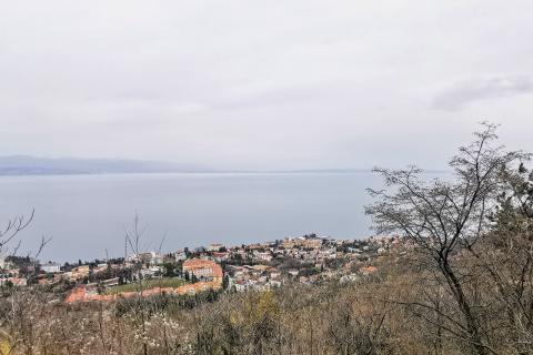 Земельный участок нестроительного назначения Dobreć, Opatija - Okolica, 4.453m2