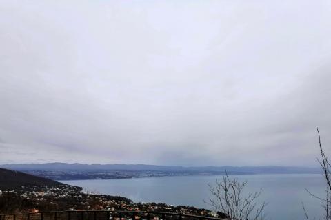 Земельный участок нестроительного назначения Dobreć, Opatija - Okolica, 4.453m2