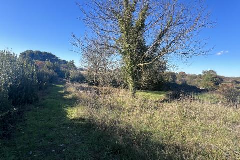 Bouwgrond Vodnjan, 1.926m2