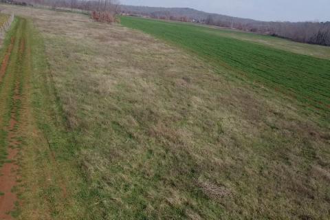 Земельный участок нестроительного назначения Dračevac, Poreč, 9.776m2