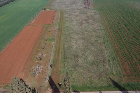 Земельный участок нестроительного назначения Dračevac, Poreč, 9.776m2