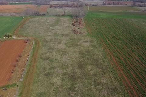 Земельный участок нестроительного назначения Dračevac, Poreč, 9.776m2