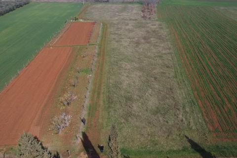 Земельный участок нестроительного назначения Dračevac, Poreč, 9.776m2