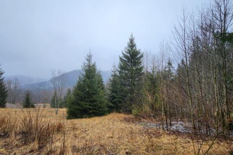 Bauland Stari Laz, Ravna Gora, 2.537m2