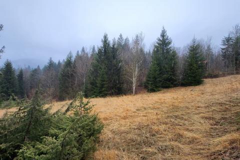 Bauland Stari Laz, Ravna Gora, 2.537m2