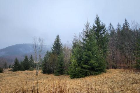 Bauland Stari Laz, Ravna Gora, 2.537m2