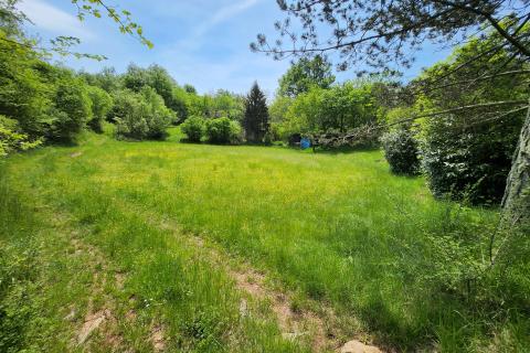 Nicht-strukturelle Land Gambetići, Višnjan, 19.430m2