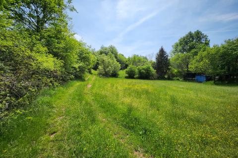 Nicht-strukturelle Land Gambetići, Višnjan, 19.430m2