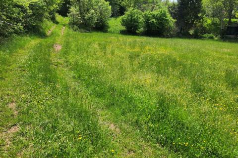 Nicht-strukturelle Land Gambetići, Višnjan, 19.430m2