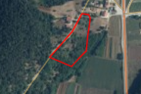 Istra, Podberam - građevinski teren, cjena nije fiksna