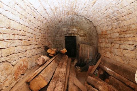 VIŠNJAN-renovirana kamena kuća