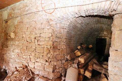 VIŠNJAN-renovirana kamena kuća