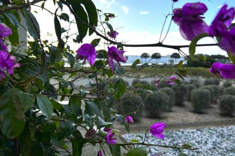 Condo/Apartment Umag, 97,93m2